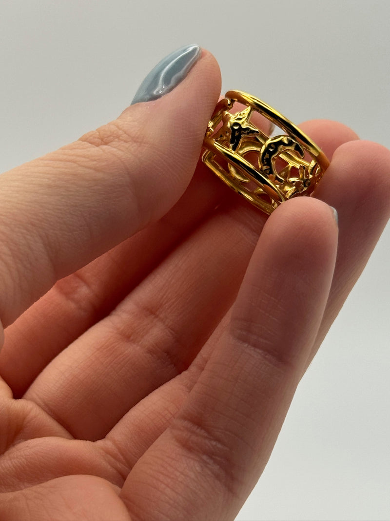 ¿YA ES VERANO? RING